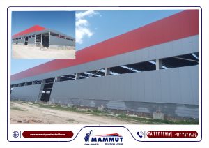 نمایندگی مجاز شرکت ماموت