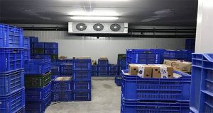 ساخت سردخانه و صرفه اقتصادی